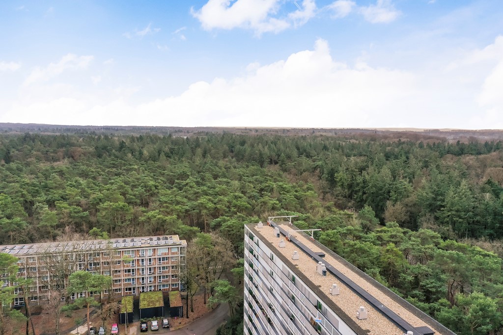 Anna Paulownalaan 172_42.jpg